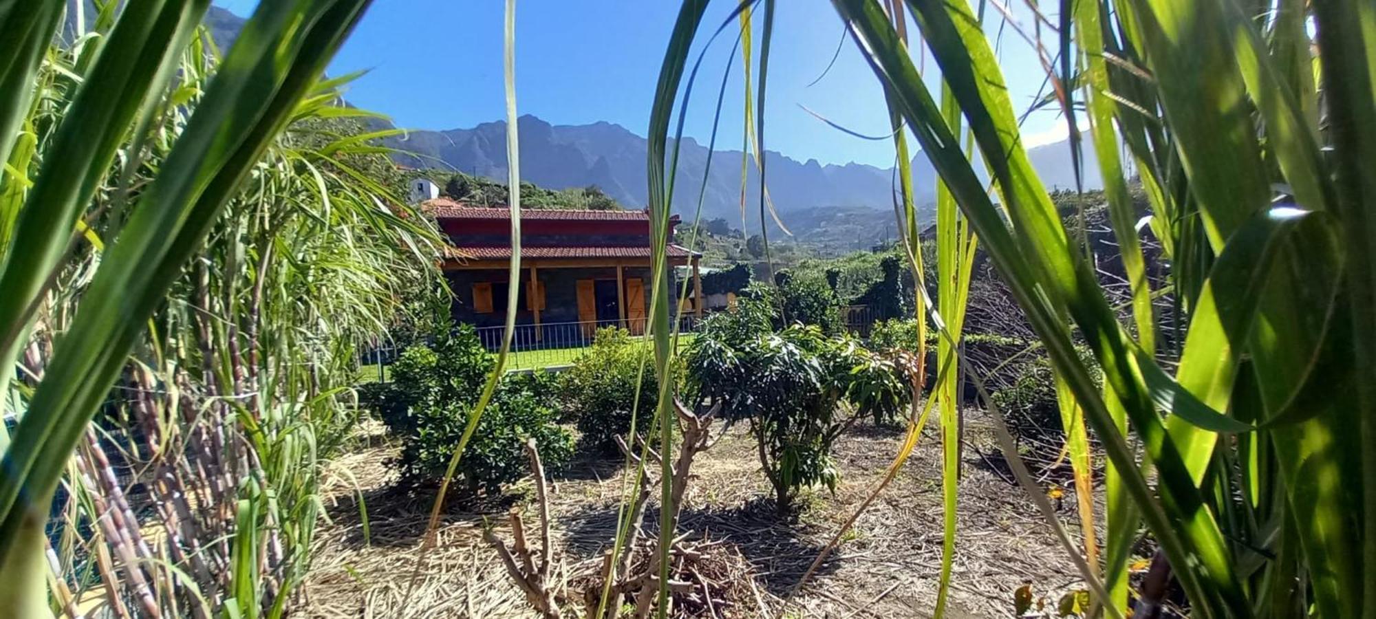 Refugio Do Limoeiro Villa São Vicente Eksteriør billede